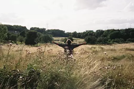 Bird - galeria zdjęć - filmweb
