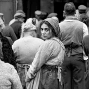 Dziewczyna z igłą - galeria zdjęć - filmweb