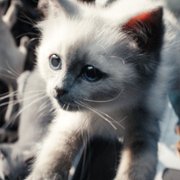 The Marvels - galeria zdjęć - filmweb