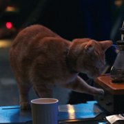 The Marvels - galeria zdjęć - filmweb