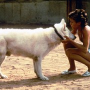 White Dog - galeria zdjęć - filmweb