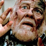 Biały pies - galeria zdjęć - filmweb