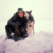 White Fang - galeria zdjęć - filmweb