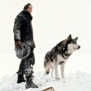 White Fang - galeria zdjęć - filmweb