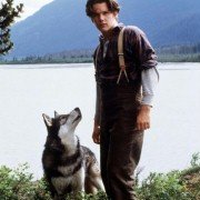 White Fang - galeria zdjęć - filmweb