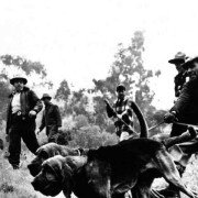 Ucieczka w kajdanach - galeria zdjęć - filmweb