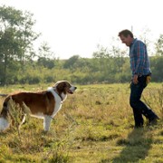 A Dog's Journey - galeria zdjęć - filmweb