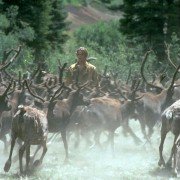 White Fang II: Myth of the White Wolf - galeria zdjęć - filmweb