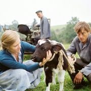 Zbrodnia na farmie - galeria zdjęć - filmweb