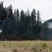 Outlast - galeria zdjęć - filmweb