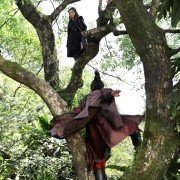 Nie Yin Niang - galeria zdjęć - filmweb