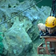 La ley de la selva - galeria zdjęć - filmweb