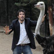 Daddy Cool - galeria zdjęć - filmweb