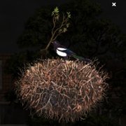 Milo and the Magpies - galeria zdjęć - filmweb