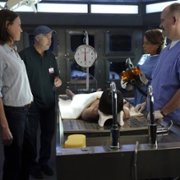 CSI: Vegas - galeria zdjęć - filmweb