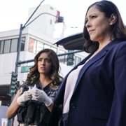 CSI: Vegas - galeria zdjęć - filmweb