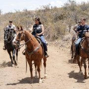 CSI: Vegas - galeria zdjęć - filmweb