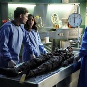 CSI: Vegas - galeria zdjęć - filmweb