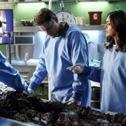 CSI: Vegas - galeria zdjęć - filmweb