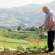 80 egunean - galeria zdjęć - filmweb