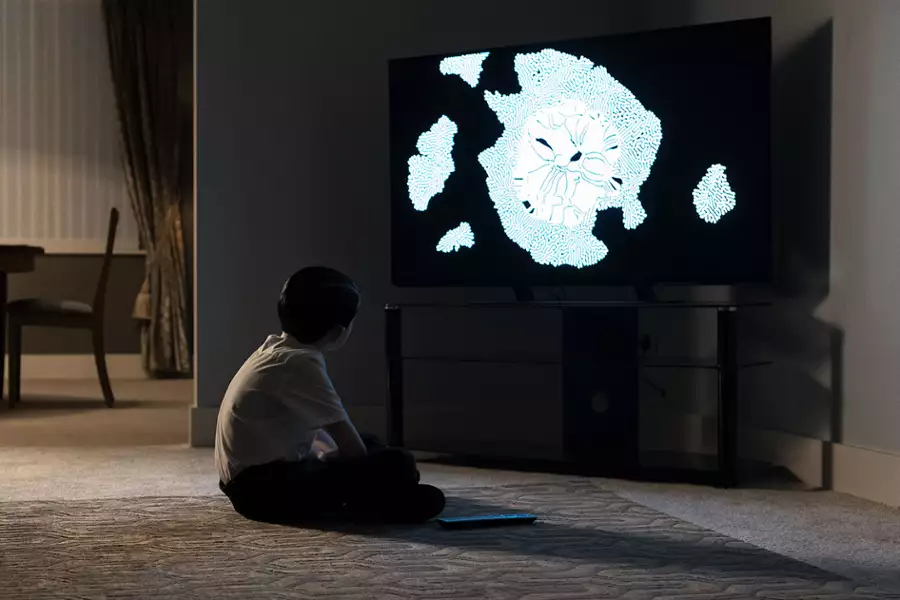 Wiwarium - galeria zdjęć - filmweb