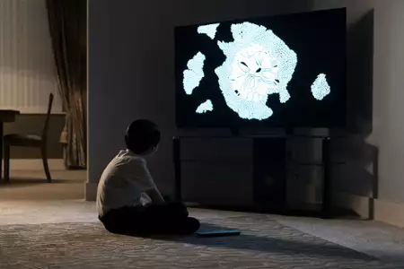 Wiwarium - galeria zdjęć - filmweb