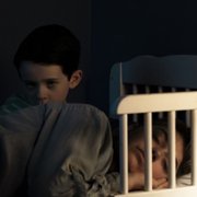 Vivarium - galeria zdjęć - filmweb