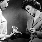I Want to Live! - galeria zdjęć - filmweb