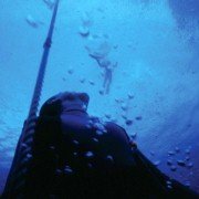 Le grand bleu - galeria zdjęć - filmweb