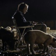 Upstream Color - galeria zdjęć - filmweb