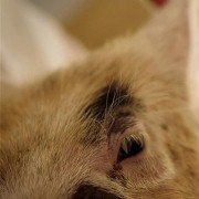 Upstream Color - galeria zdjęć - filmweb