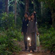 Świetliki - galeria zdjęć - filmweb