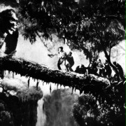 King Kong - galeria zdjęć - filmweb