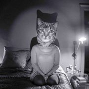 My Friend the Polish Girl - galeria zdjęć - filmweb