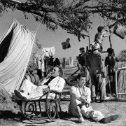 Le salaire de la peur - galeria zdjęć - filmweb