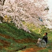 Hana-bi - galeria zdjęć - filmweb