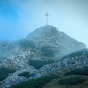 Posłani - galeria zdjęć - filmweb