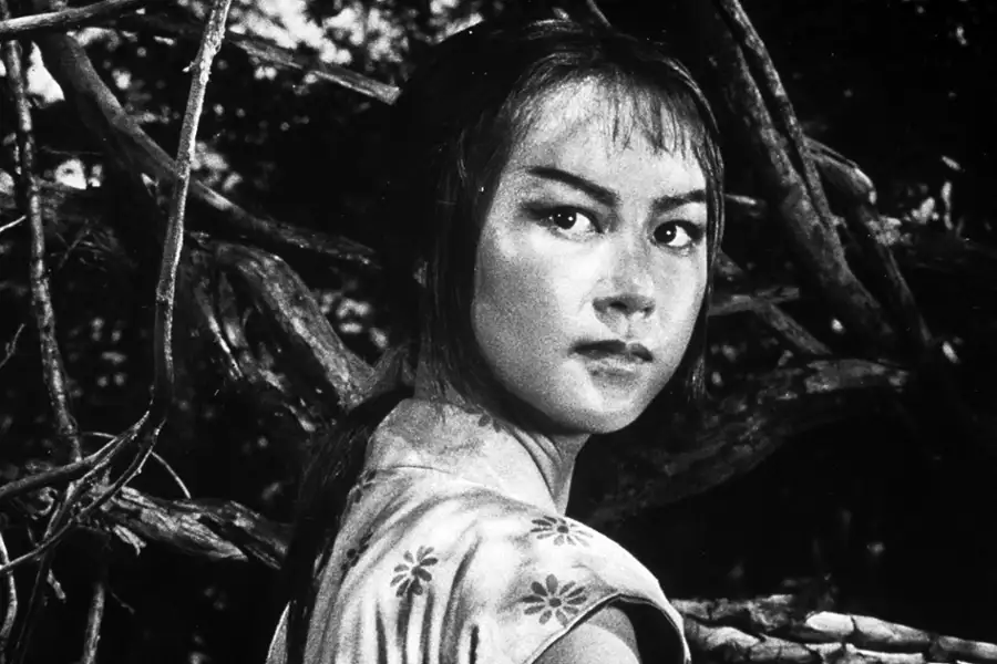 Ukryta forteca - galeria zdjęć - filmweb