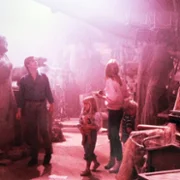 Kwiaty na poddaszu - galeria zdjęć - filmweb