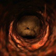 Jutrzenka Otrzewna - galeria zdjęć - filmweb