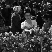 Komedianci - galeria zdjęć - filmweb