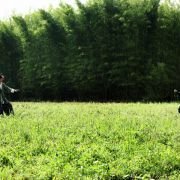 Yuet Gwong Bo Hup - galeria zdjęć - filmweb