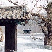 Bom yeoreum gaeul gyeoul geurigo bom - galeria zdjęć - filmweb