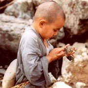 Bom yeoreum gaeul gyeoul geurigo bom - galeria zdjęć - filmweb
