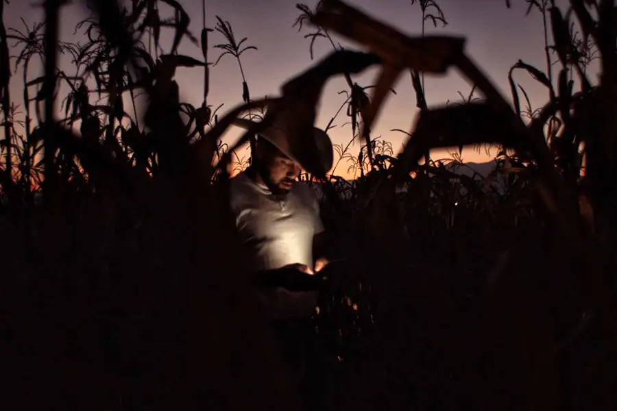 Jaripeo - galeria zdjęć - filmweb