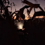 Jaripeo - galeria zdjęć - filmweb