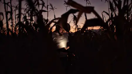 Jaripeo - galeria zdjęć - filmweb