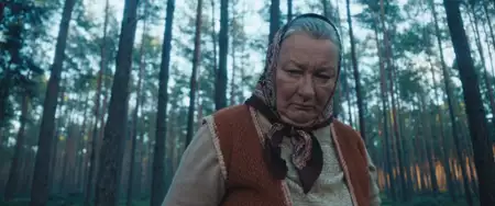 Grzyby - galeria zdjęć - filmweb