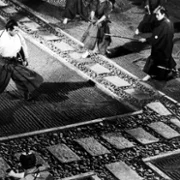 Bunt - galeria zdjęć - filmweb