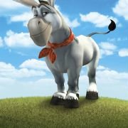 Donkey Xote - galeria zdjęć - filmweb